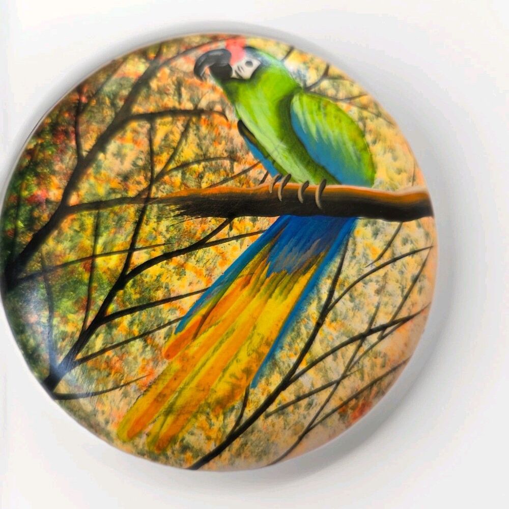 Vintage Small Round Pottery Hand Painted Parrot Trinket Box Lid Great Condition